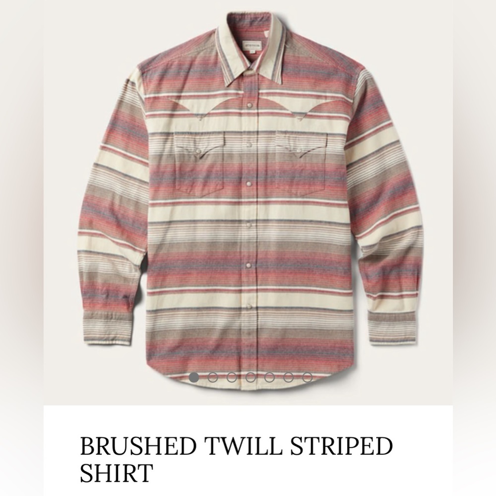 Stetson Western Shirt